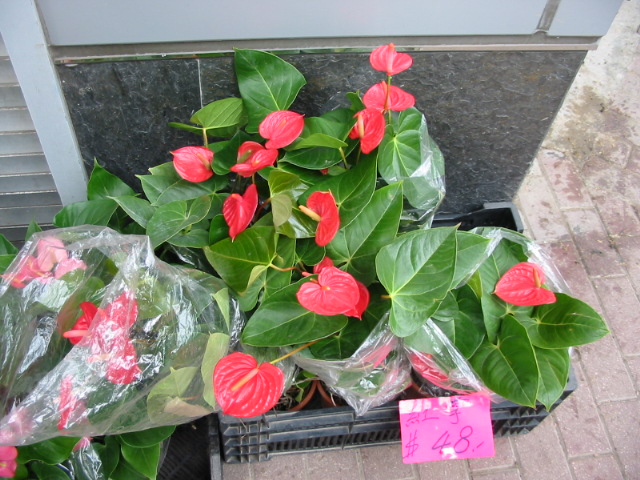 Immagini di repertorio